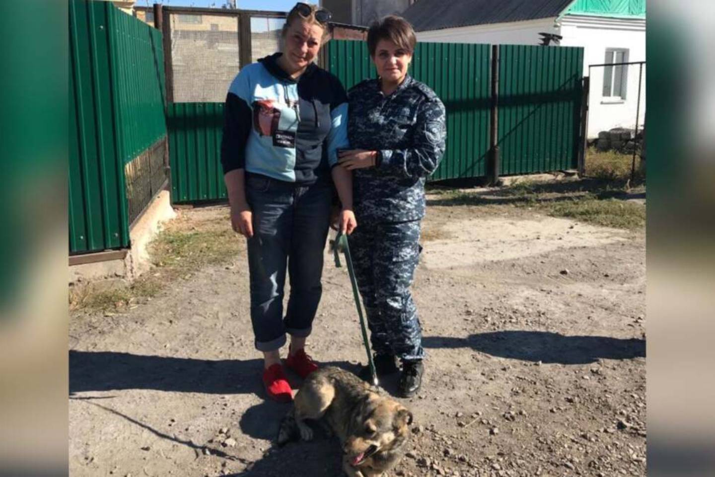 Новости Казахстана / Общество в Казахстане / 28 ударов ножом: раненная живодерами собака обрела хозяйку