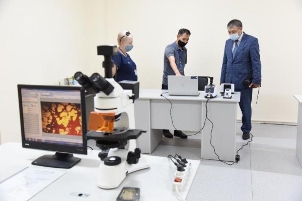 Новости Казахстана / Отечественные ученые разрабатывают улучшенную версию битума